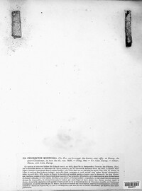 Image of Syncesia myrticola